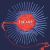 The Ams: The Release of an American Soul